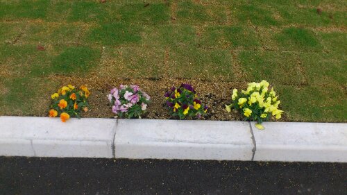 ちょっと寒いです。