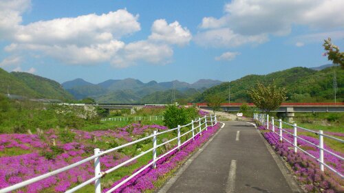 5月も終わりますねぇ～