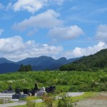 駅までお迎えに上がります。