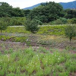 秋の見学会開催のお知らせ !