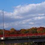 お墓(墓地)の悩み事　その３