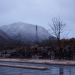 冬のべにばな霊園