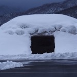 遊びにおいでよ、いつものところ !!