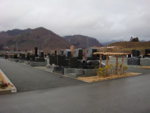 ゆっくりとした春の訪れ・・・。