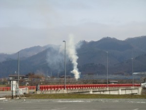 啓蟄がすぎて。