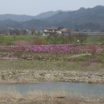 DSC00446
