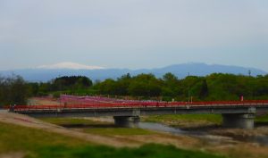 芝桜シーズンを振り返って