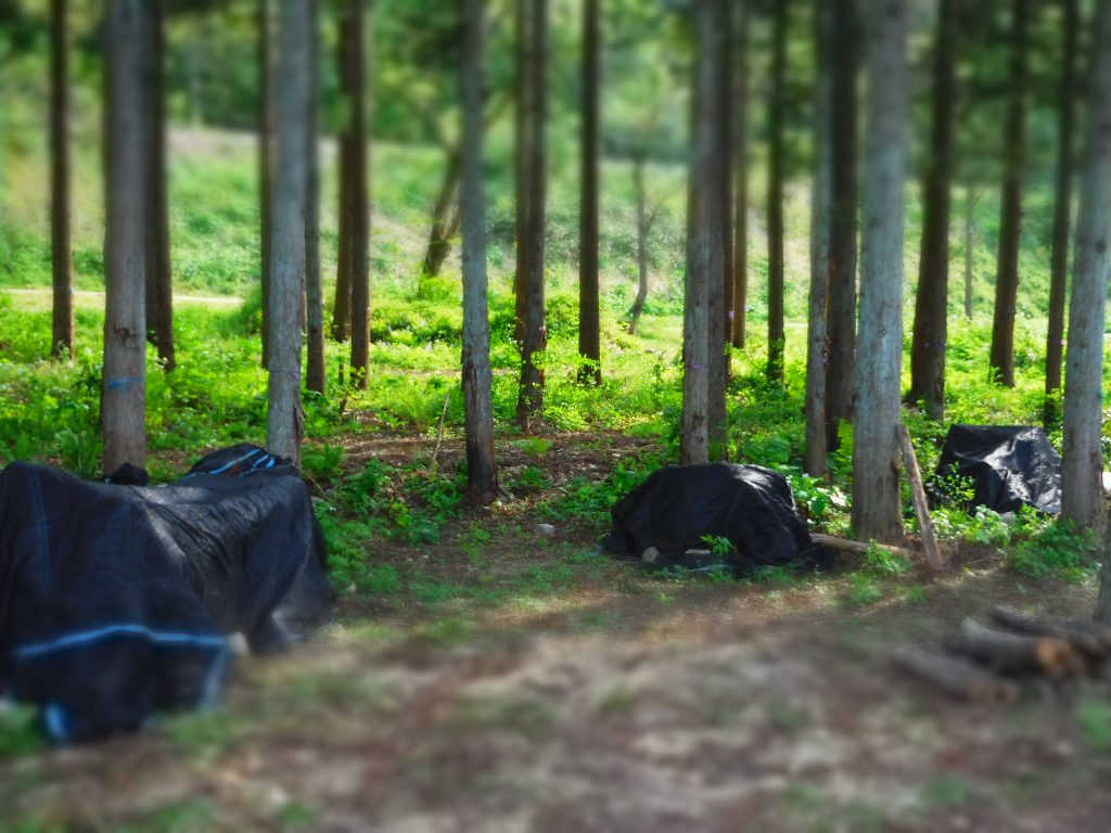 べにばな霊園の散策道
