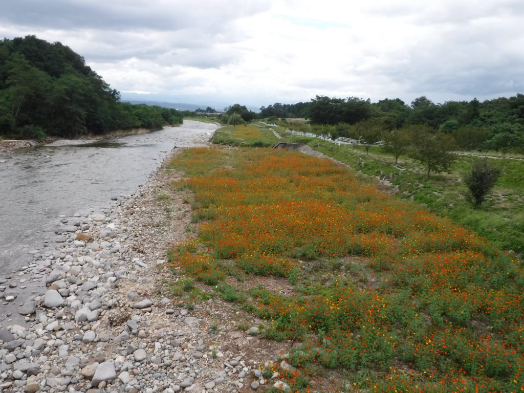 「永代供養塔（納骨堂）」の建設工事が始まりました。