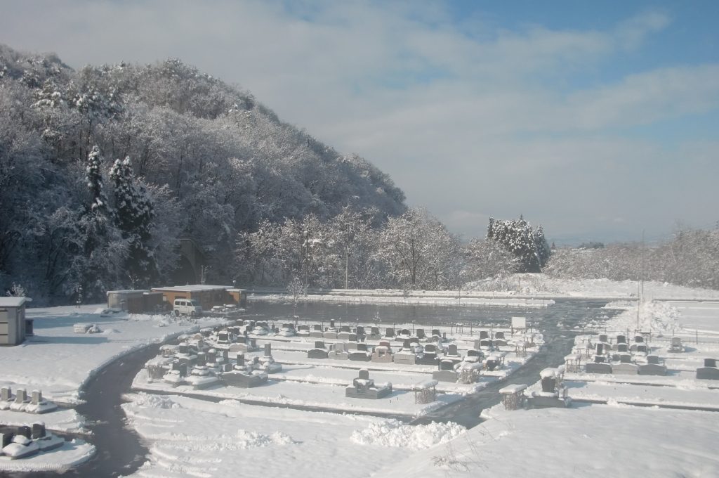 新年明けましておめでとうございます