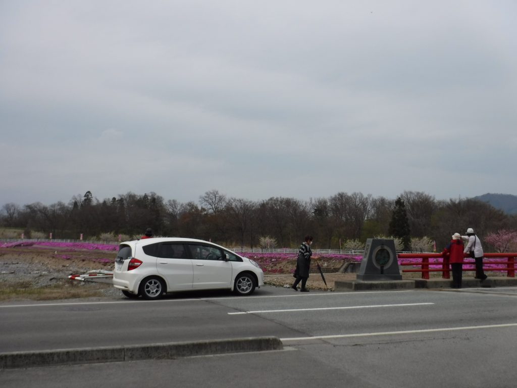 ❝芝桜と姥桜❞