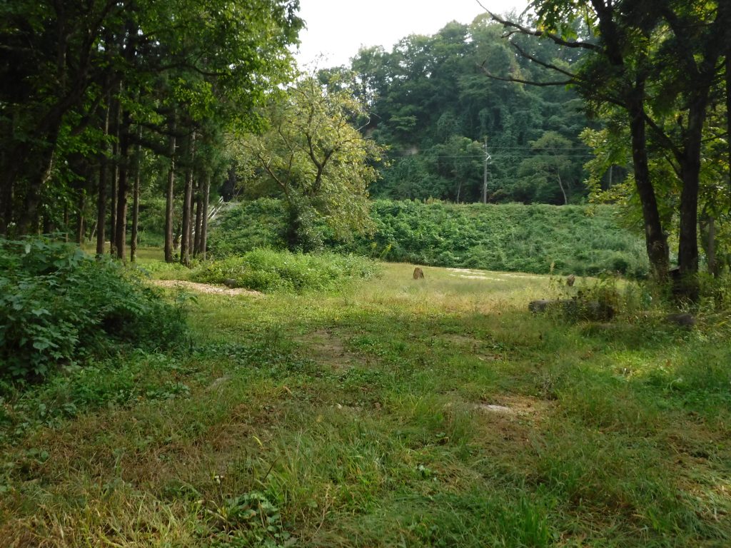 べにばな霊園は動物園！？