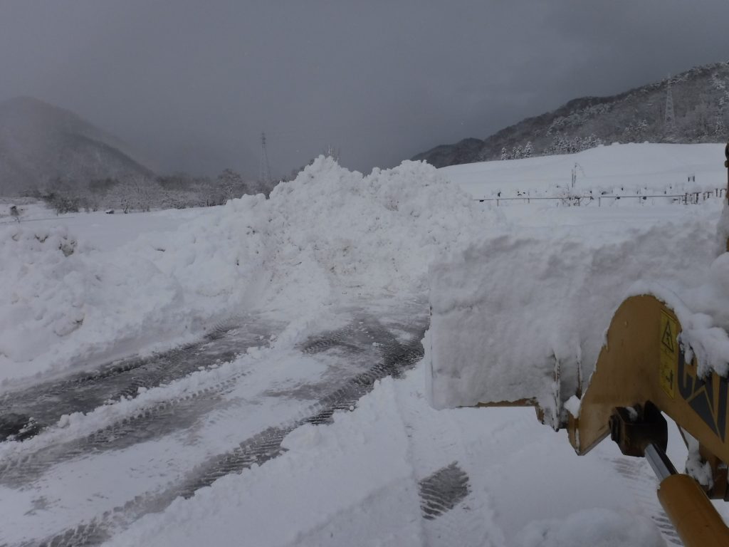 来年もどうぞよろしく！