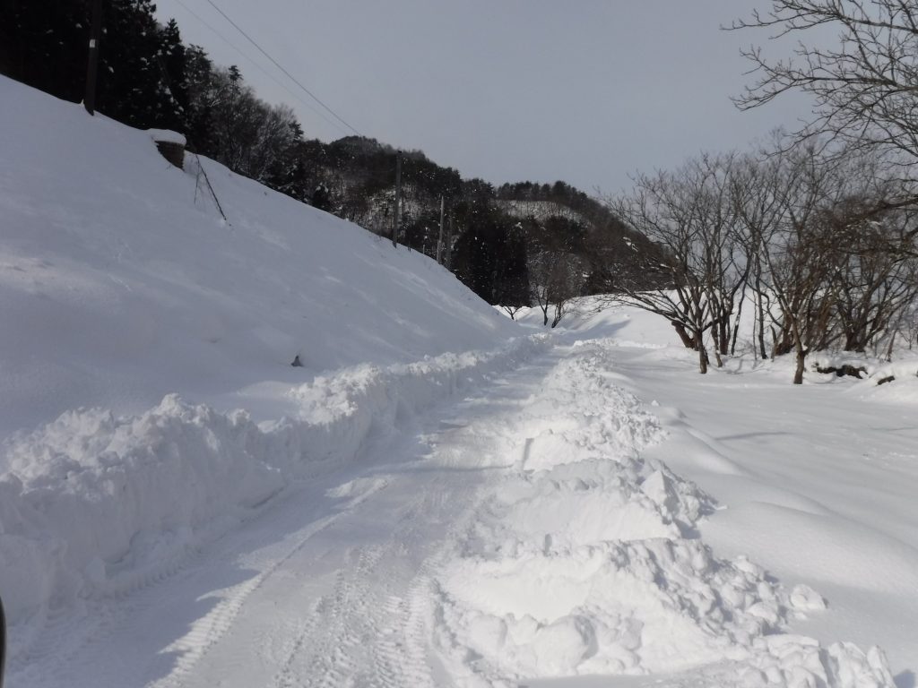 雪の散歩道
