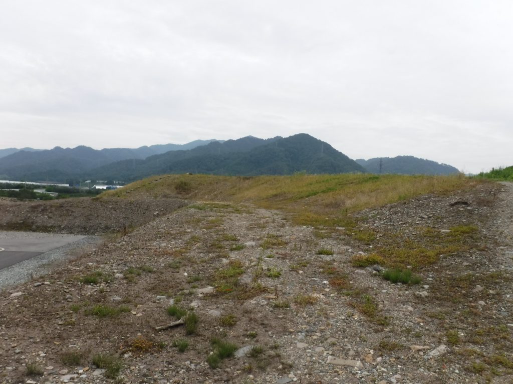 花咲かじいさん