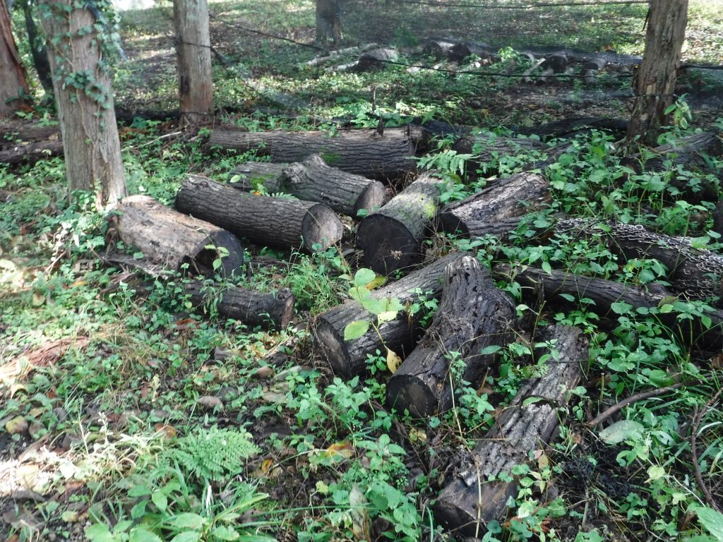 「ここ１０年で最悪」