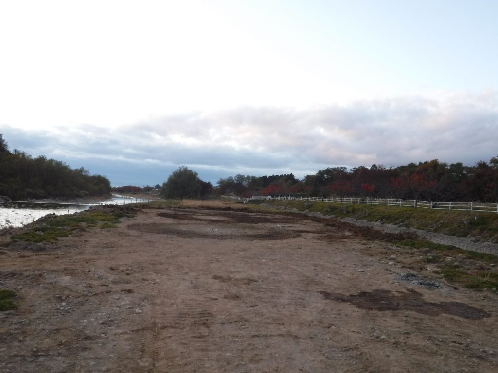 五輪マークのチューリップ畑