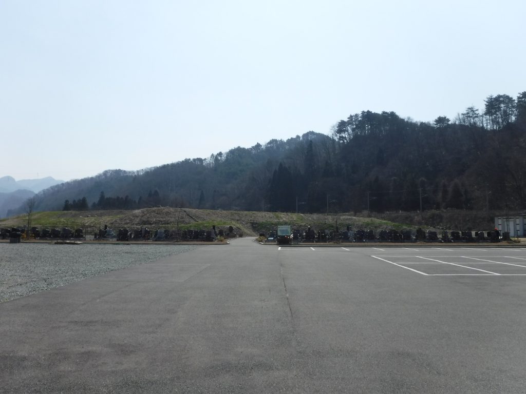 せっかく花が咲いたのに・・・