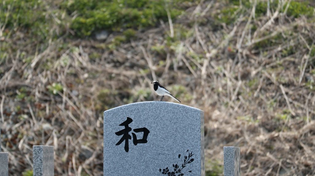 お雛様が誕生いたしました