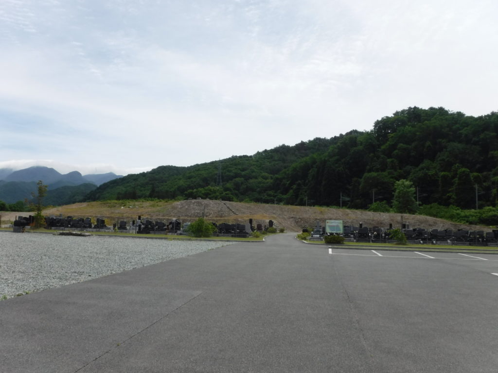 雑草除去に追われる毎日