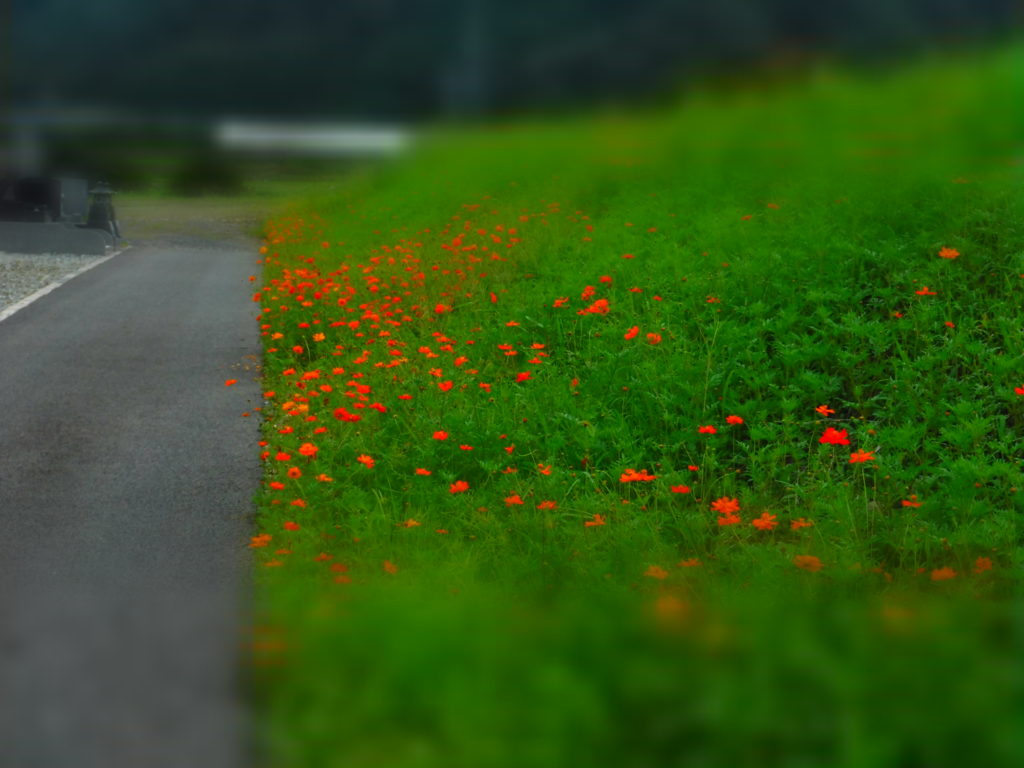 いよいよお盆でございます