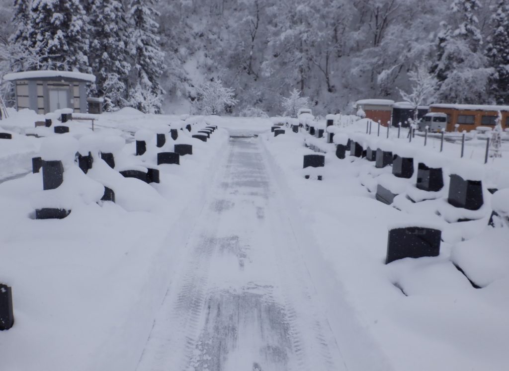 気持ちよくお参りができますように