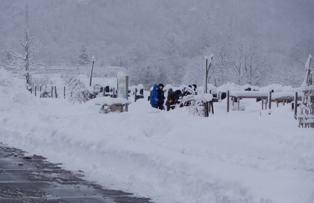 新年おめでとうございます