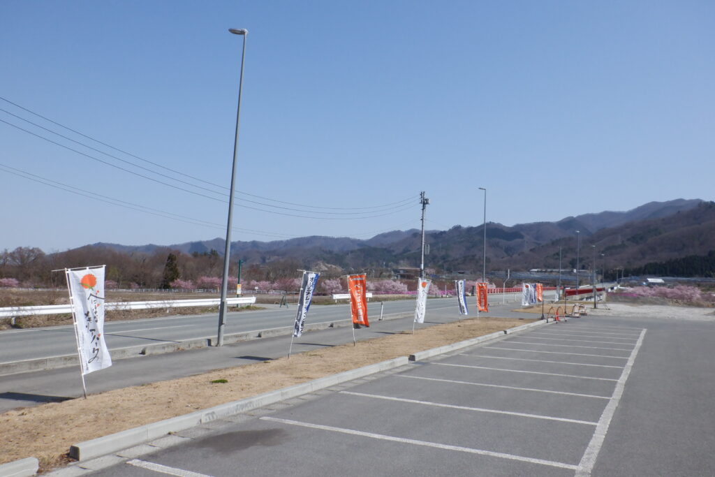 せっかく花が咲いたというのに・・・。