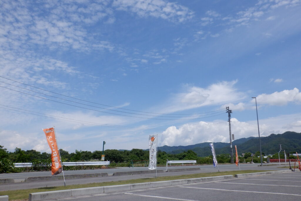 一雨欲しい今日この頃