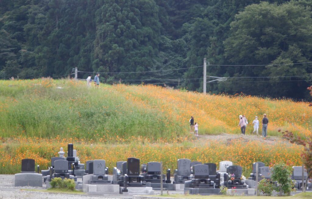 立谷川　臨時駐車場整備