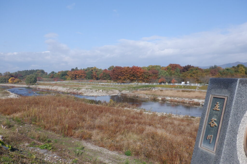 もう１１月だというのに・・・。