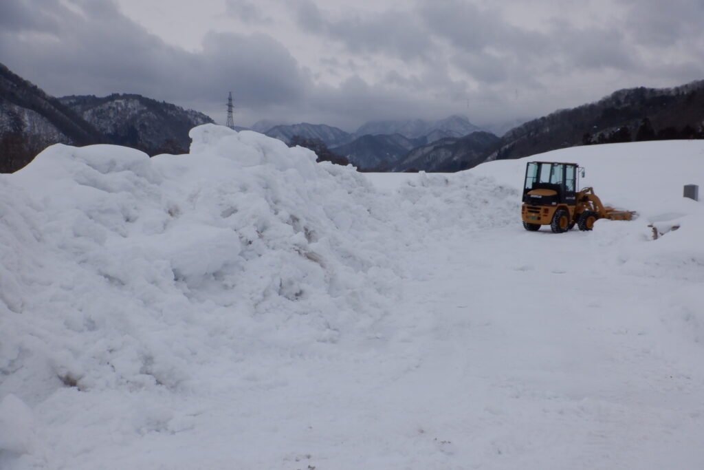 寒さが続く今日この頃
