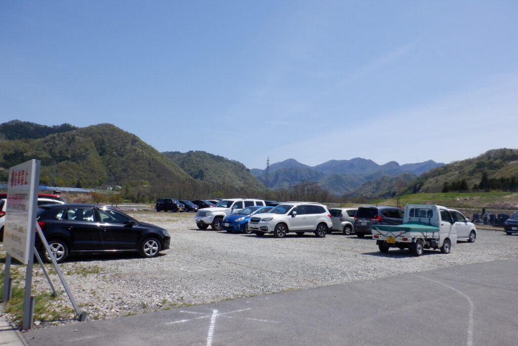 連日大盛況　立谷川の芝ざくら