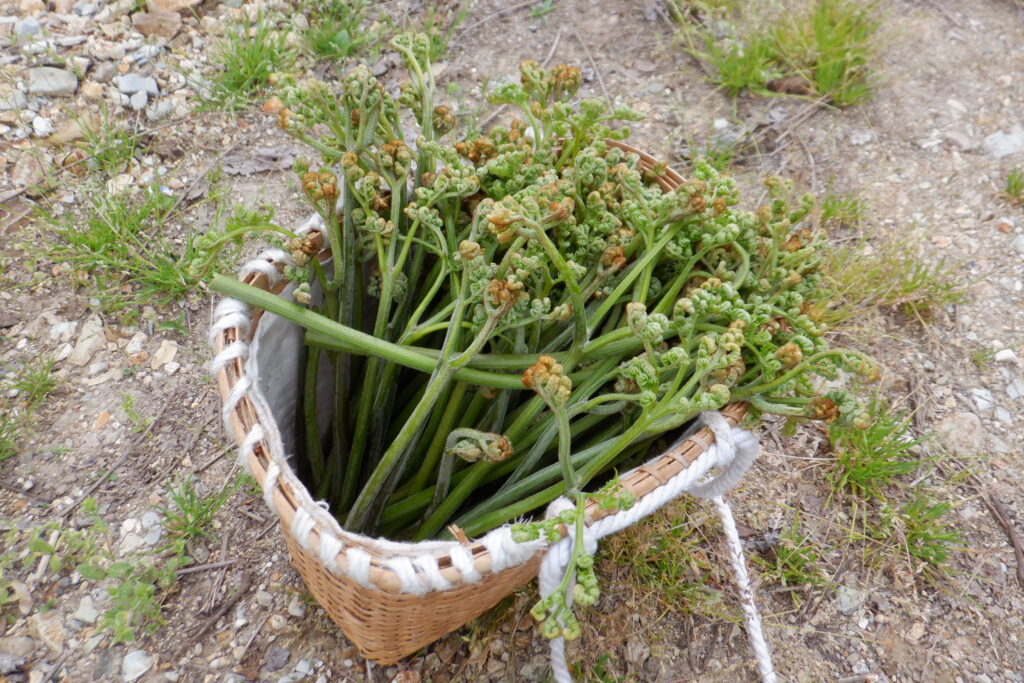 次から次と・・・。