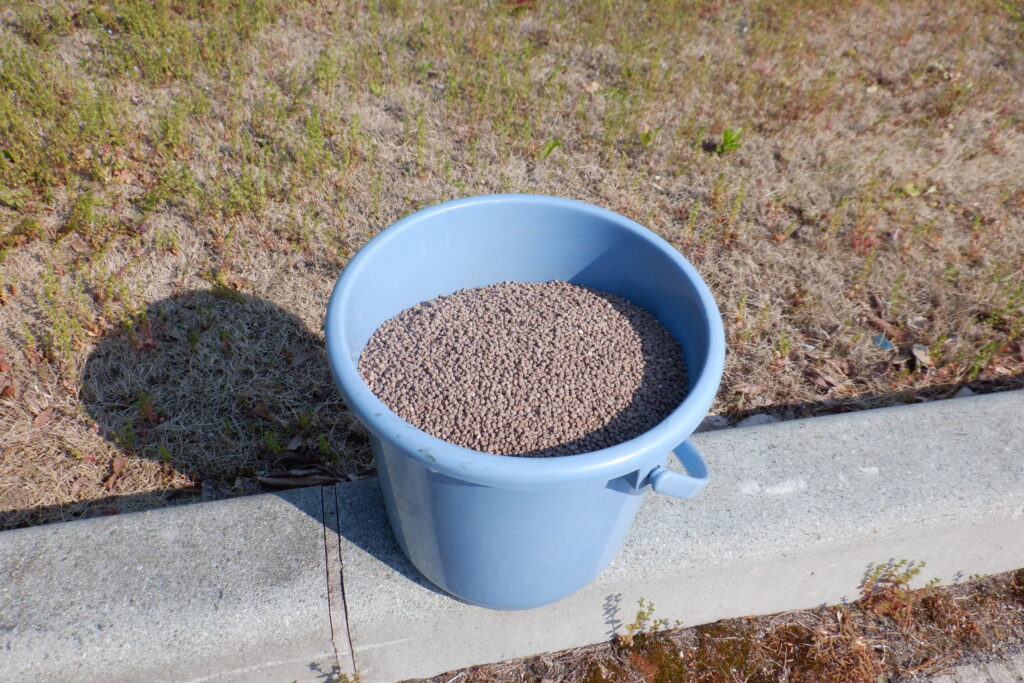 猫の手も借りたい忙しさ