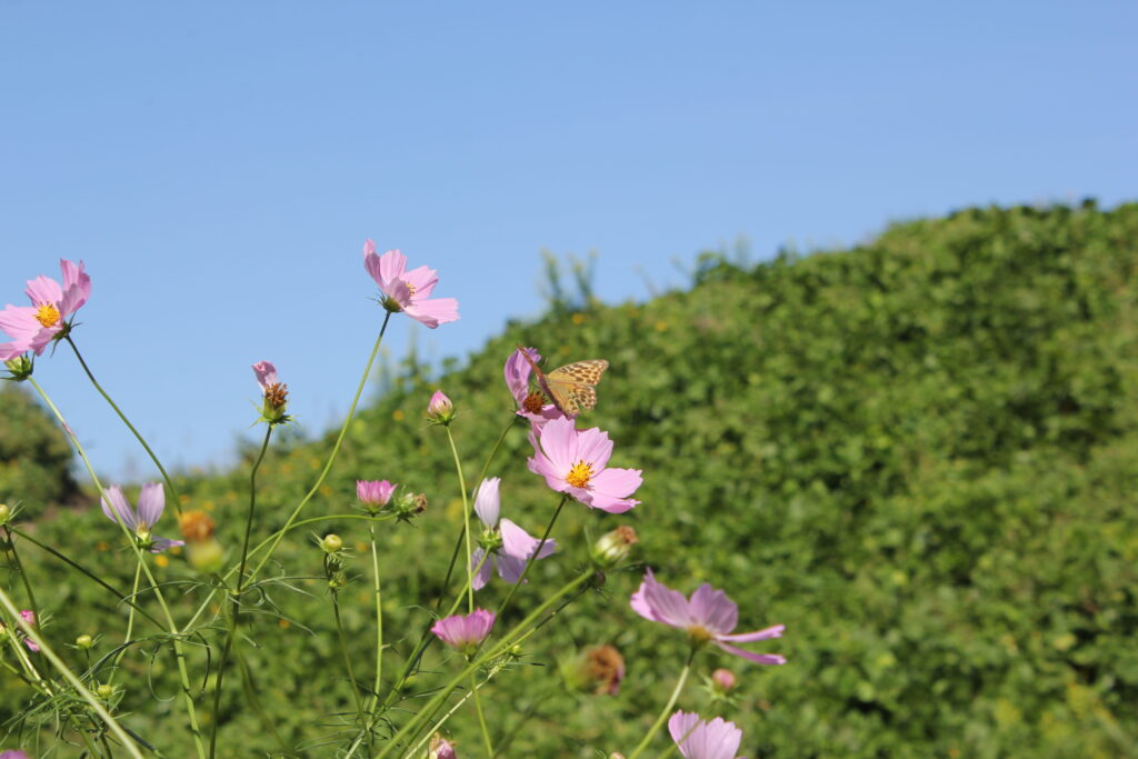 暑さ寒さも彼岸まで