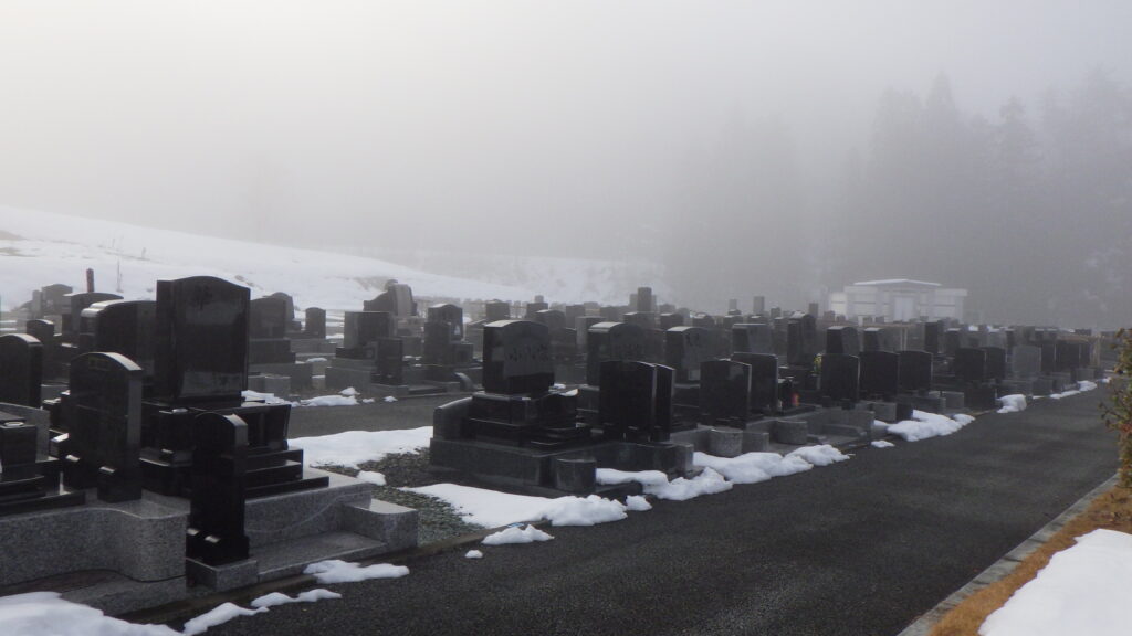 冬なのにぽかぽか陽気