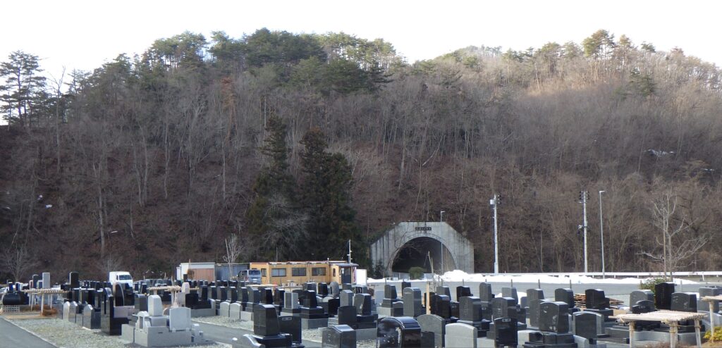 大寒なのに・・・