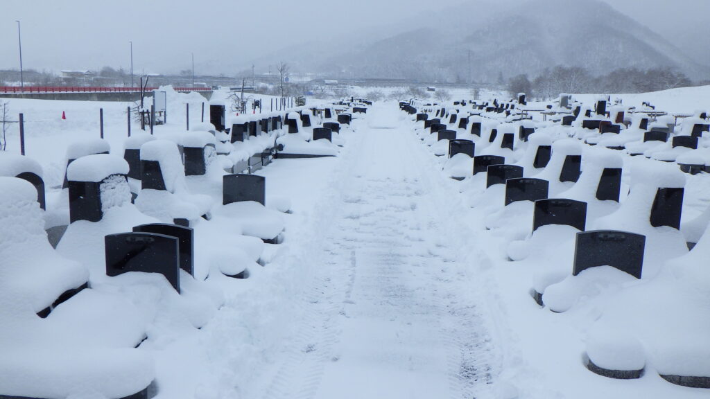 春はまだまだ先のよう