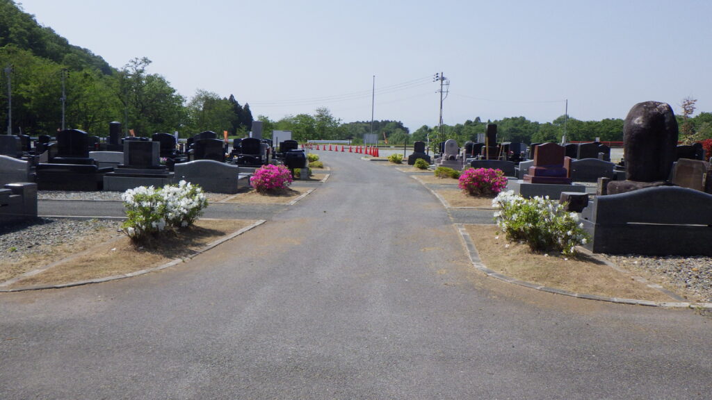 お暑うございます