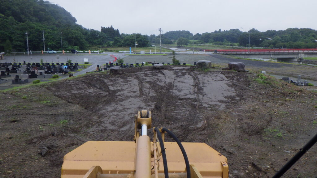 せっかく種を蒔いたのに