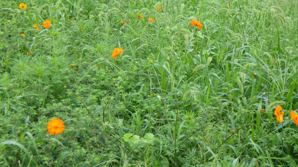 昨日から通常業務