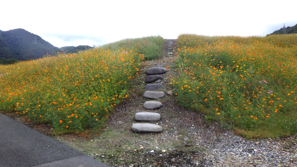 暑さ寒さも彼岸まで