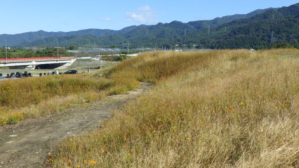 本日は晴天なり