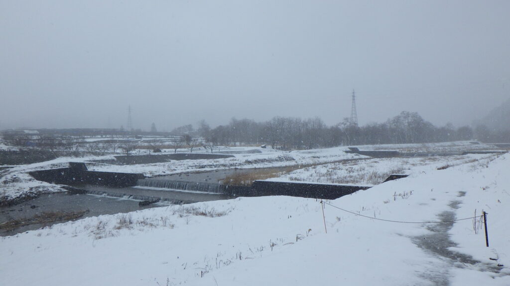 春が待ち遠しい