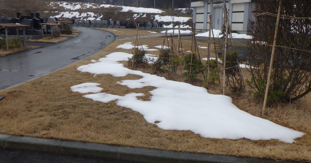 なごり雪