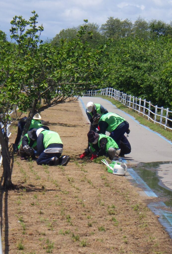 久方ぶりの雨