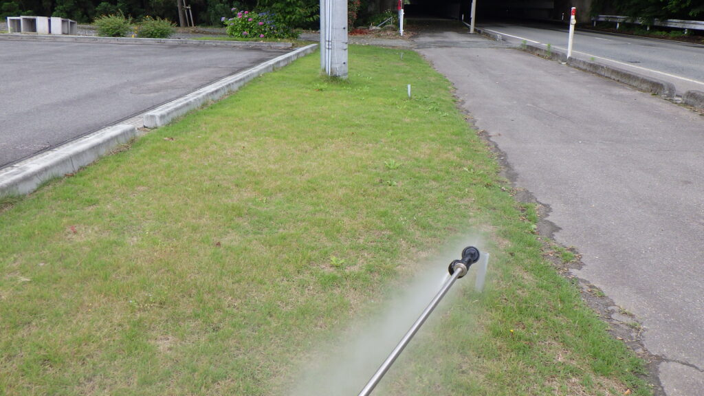 雨が降ると雑草は勢いを増す
