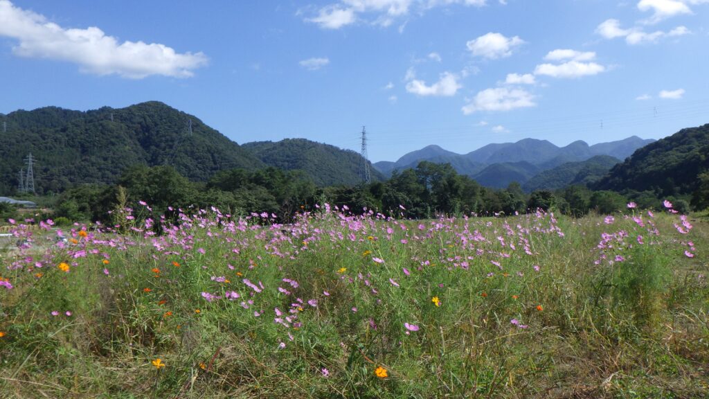 いよいよ１０月です