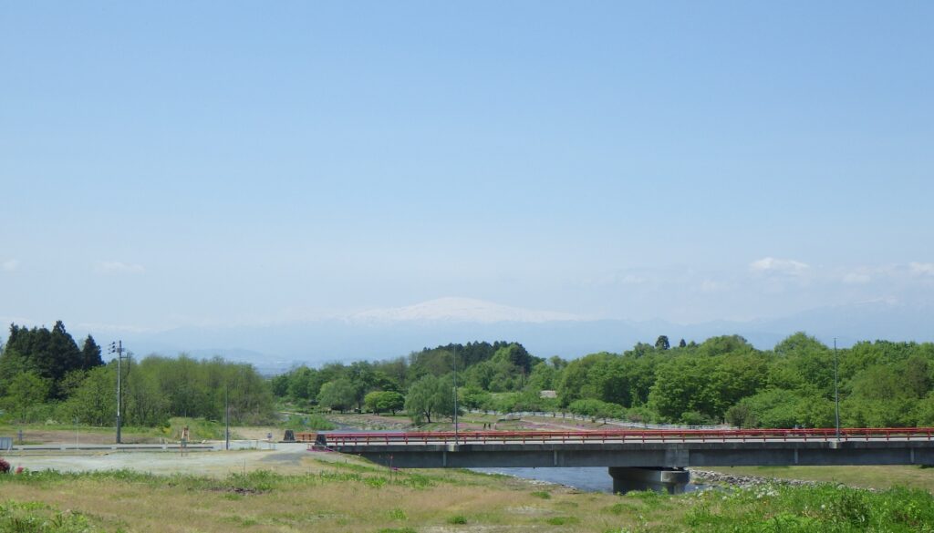 立谷川の姥桜